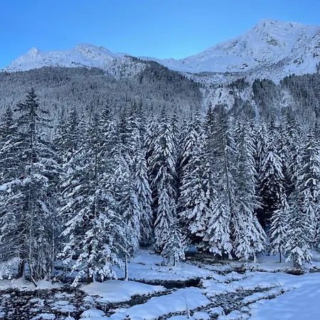 T2 Myrtille A Champagny Le Vanoise *